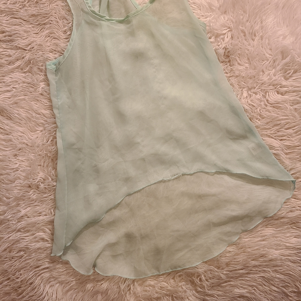 Sheer Blouse - Picture 3 of 4